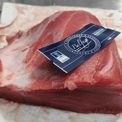 Atún fresco crudo